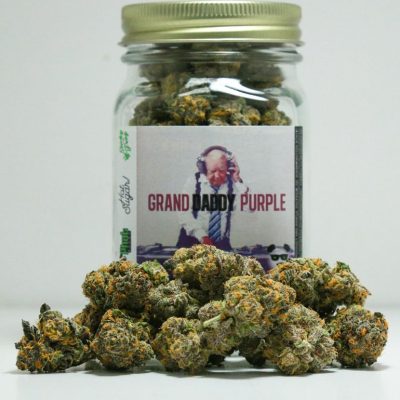 Buy Grand Daddy Purple Strain