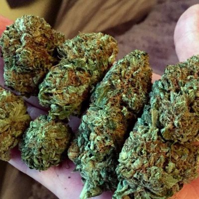 6 Weed Strains Giveaway (1/4 Pound)