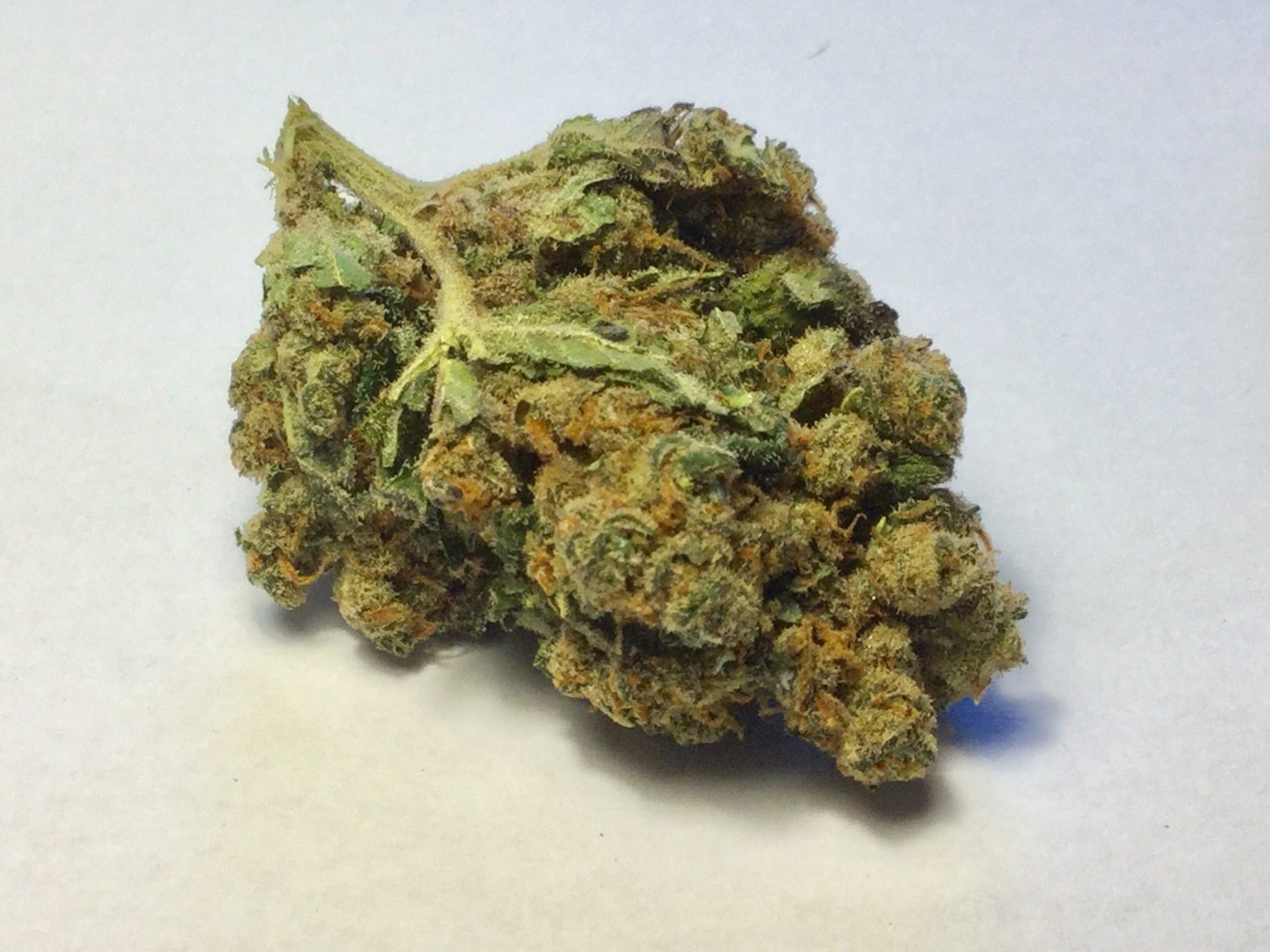 Harlequin Strain Harlequin Strain | Ganja Estates Online Dispensary