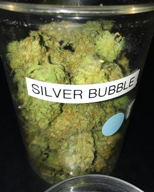 Silver Bubble strain