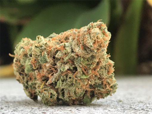 Maui Waui Marijuana Strain