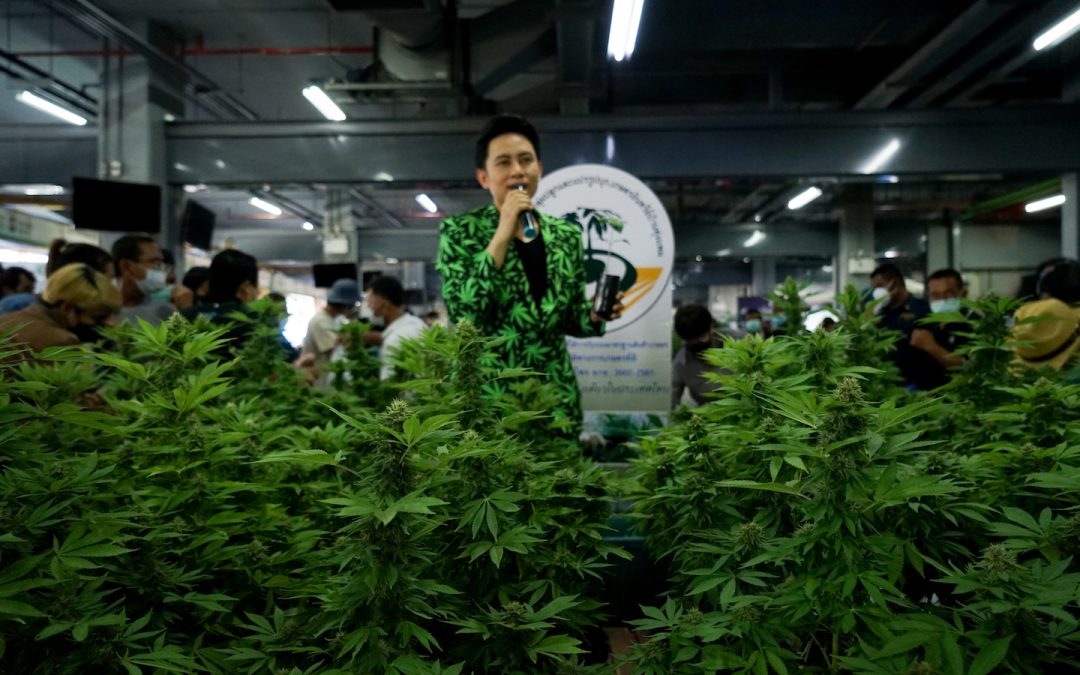 Buy weed in Vietnam