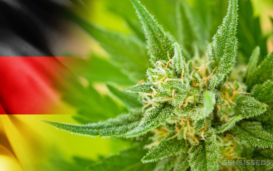 Can I buy marijuana in Germany?
