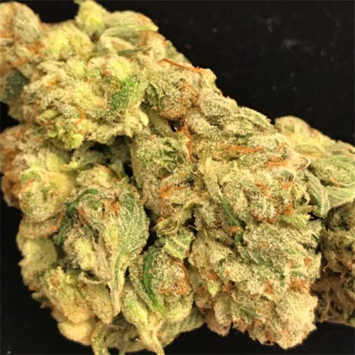 Blue City Diesel Strain Review And Information: Exploring A Strain That Will Fuel Your Soul￼