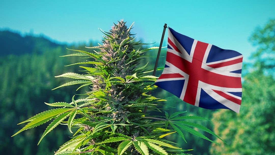How do people buy cannabis in the UK?