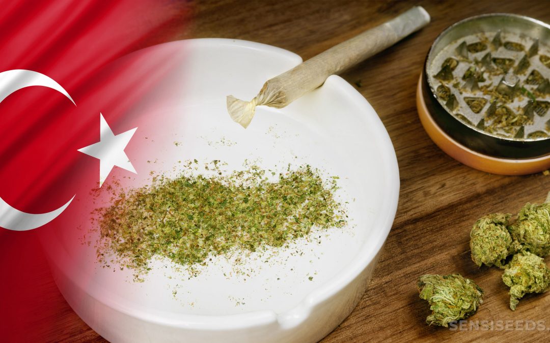 Buy marijuana online in Turkey