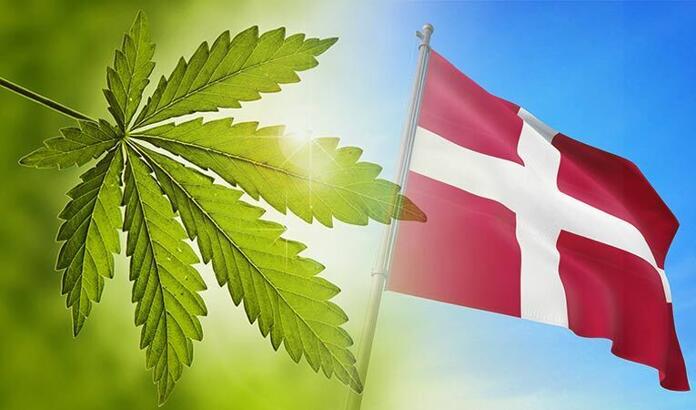 Where will we find cannabis in Denmark nowadays