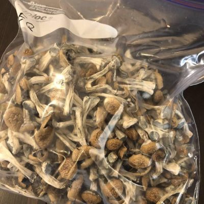 Buy Penis envy mushrooms in USA